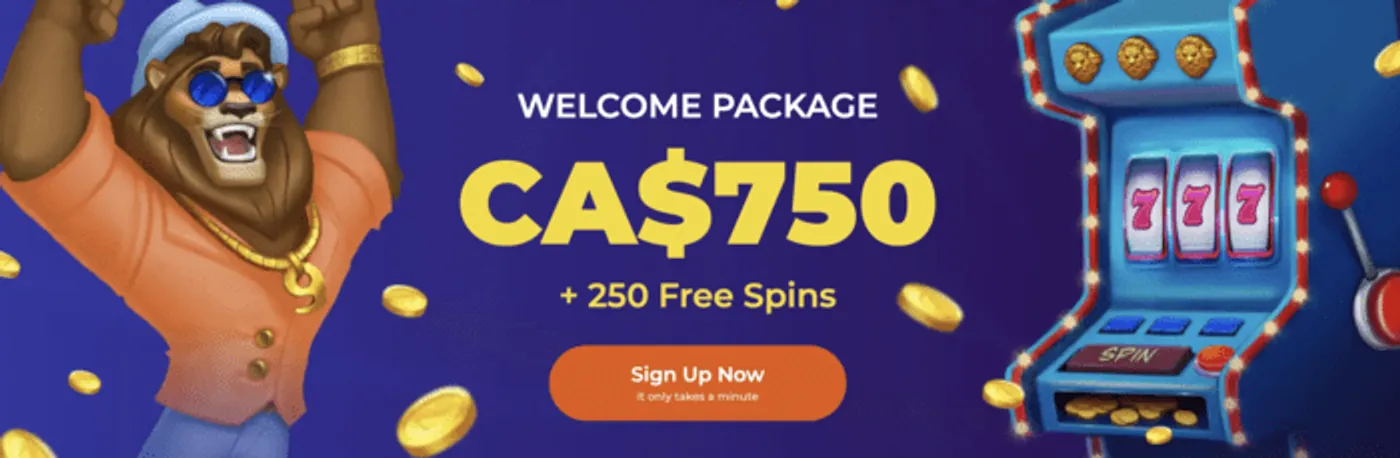 312bet